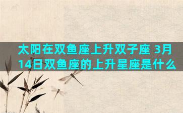 太阳在双鱼座上升双子座 3月14日双鱼座的上升星座是什么